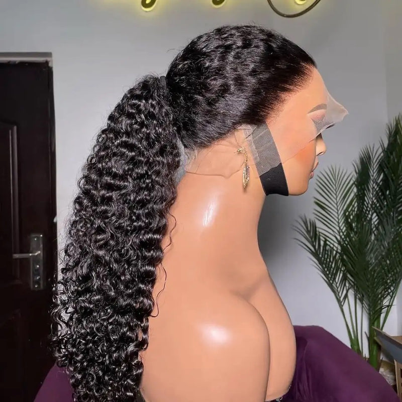 AMZHAIR Raw Vietnamese Hair Kinky Curly Natural Black Color 13x6 Lace Wigs Human Hair 13x4 HD Full Lace Frontal Wigs 4x4 Lace Closure Wigs Glueless for Women