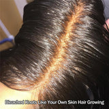 Pre Plucked Body Wave Closure Wig Affordable 180% Density Full End