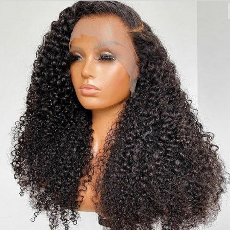High Quality Curly Wave Real Human Hair HD Lace Lace Front Wig Pre Plucked